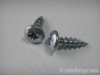 Sell  SS SELF TAPPING SCREW