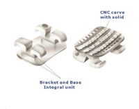 Sell Orthodontic Bracket