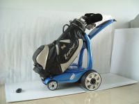 Sell remote control golf buggy