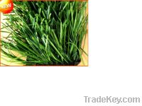 Sell Artificial Grass synthetic turf for soccer
