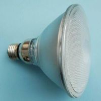 Sell LED lighting(PAR38)