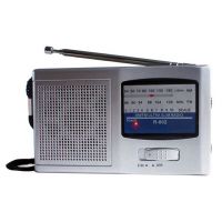 AM/FM POCKET RADIO 802