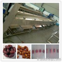 Sell Date grading machine