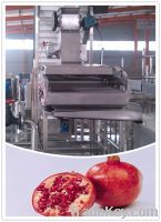 Sell Pomegranate arils processing machine