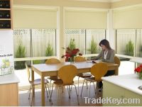 Progressive Roller Blinds With Accessories