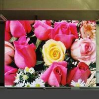 Semi-outdoor Full Color LED Display with Pixel Pitch of 10mm