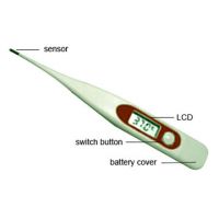 sell  Digital Thermometer