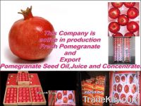 Sell Pomegranate Juice concentrate