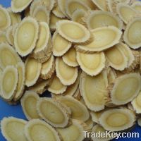 Sell Astragalus extract