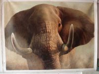 art gallery sell canvas painting, animal painting, decoration painting