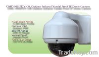 Sell outdoor infrared IR HD Megapixel WDR IP Dome camera