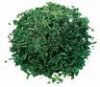 Sell Dehydrated coriander sections