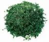 Sell Dehydrated parsley flakes