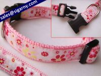 Ribbon Dog Collar