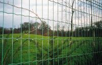 Sell dutch fence netting