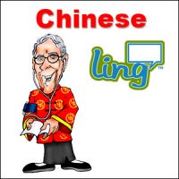 CHINESE TRANSLATOR IN SURAT
