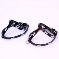 Sell dog harness