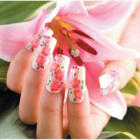 [Hi Seoul] Stamping Nail Art Kits & Cosmetics / KONAD