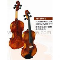 fashionable violin