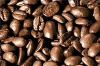 Sell Robusta coffee beans