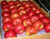 Sell Red Star Apple