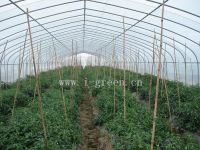 Sell commerical greenhouse
