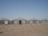 Sell poly-film greenhouse