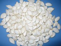 Snow white pumpkin seeds