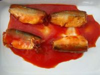 CANNED MACKEREL IN TOMATO SAUCE 425GX24