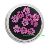 Sell Stock Shell Petal _ Nail art_at $0.46