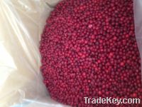 IQF Frozen Lingonberries