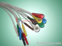 Sell HOLTER 7 leadwires