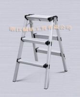Sell Double Side Ladder
