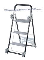 Trolley and Ladder