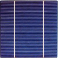 Sell Poly Solar Cell