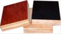 offer plywood