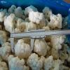 Sell frozen cauliflower