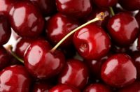 Michigan Brine Maraschino Cherries