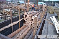 Sell Pine logs