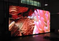 Sell LED full color display out door SMD P12