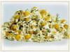 Sell Chamomile extract