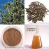 Sell Olive Leaf extract
