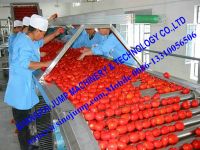 Export Quality Tomato Sauce Making Machine/Tomato Sauce Processing Machine