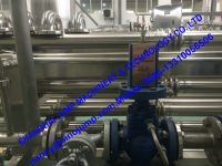 High Capacity Mango Puree Processing Line