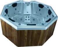 Sell  outdoor hot tub wh-1919