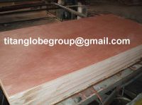 Sell packing plywood01