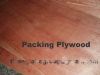 Sell Packing Plywood