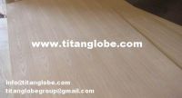 Sell Natural Ash Plywood