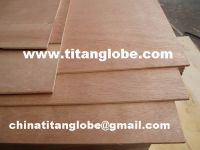 Sell 3.6mm plywood