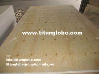 Sell Pine Plywood